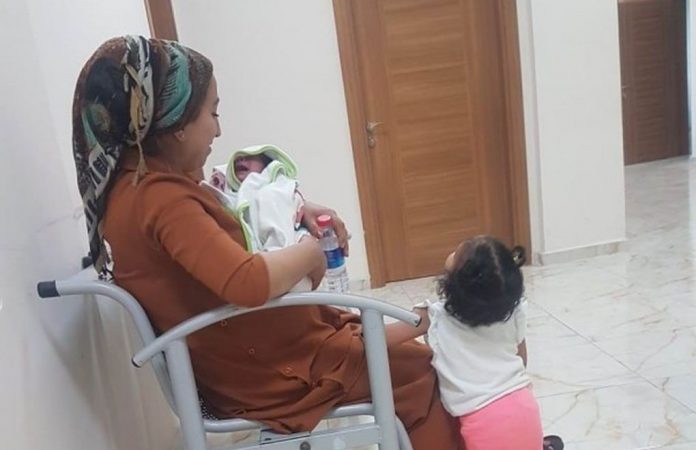 bebek