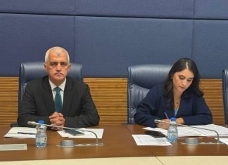 Gergerlioğlu Engelli Bireylerin Sorunlarını Araştırma Komisyonu’nda Engelli Hakları Sorunları Üzerine Konuştu
