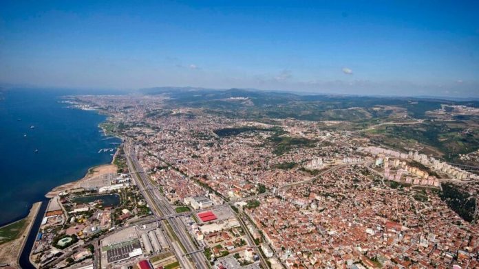 image (4)