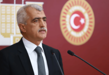 Devlet Anlamını Yitirdiğinde: Kavi Ailesi