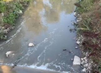 Kocaeli’de bir dere daha gündemde: “Gece kimyasal atık bırakılıyor” iddiası