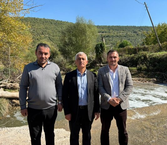 Kocaeli’de derede kimyasal atık iddiası: “3 köpeğim öldü, 10 yıldır çözüm bekliyoruz”